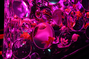 アートアクアリウム1054